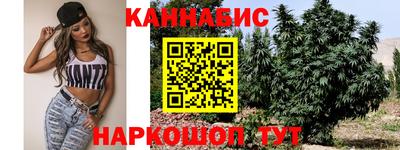 крисы Лесосибирск