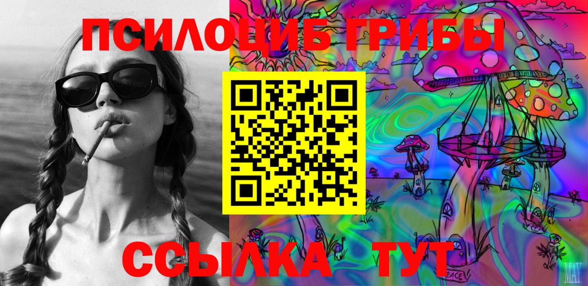 Псилоцибиновые грибы Psilocybine cubensis  Галлюциногенные грибы прущие грибы  Шумерля  Вход с VPN 