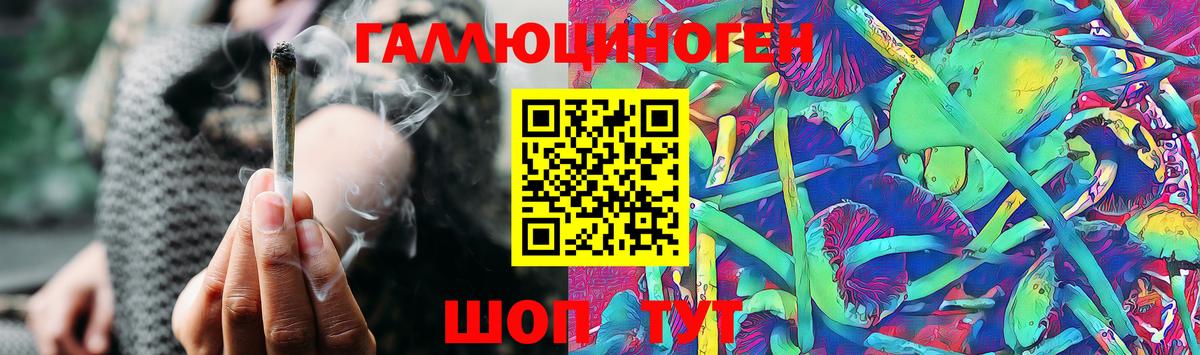 Псилоцибиновые грибы Psilocybine cubensis Шумерля