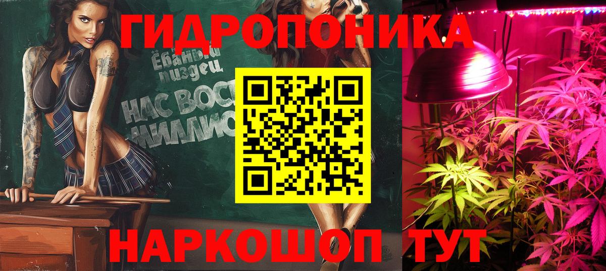 Марихуана план  Шумерля  Бошки Шишки марихуана 